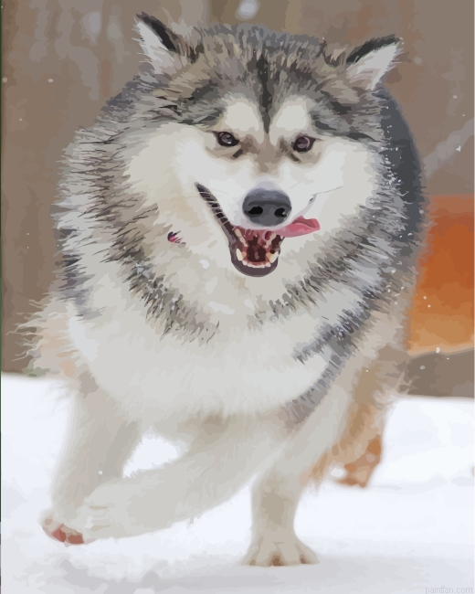 Husky Snow Paint By Number.png