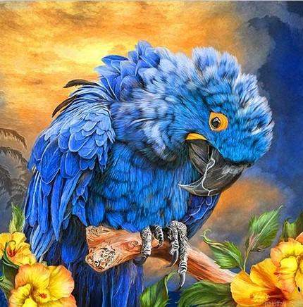 Hyacinth Macaw Paint By Numbers.png