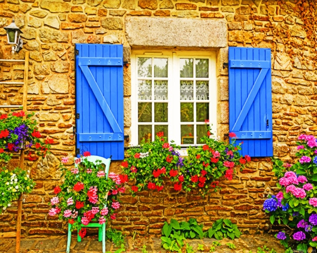 Hydrangea Flowers Paint By Number.png