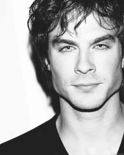 Ian Somerhalder Paint By Number.png
