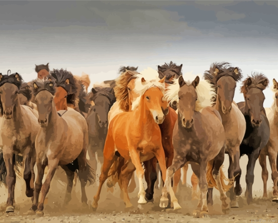 Icelandic Pony Horses Paint By Numbers.png