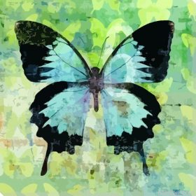 Imperial Blue Butterfly Paint By Numbers.png