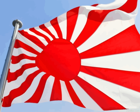 Imperial Japan Flag Paint By Numbers.png