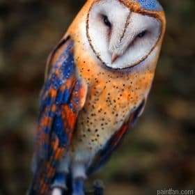 Insomniac Owl Paint By Numbers.png