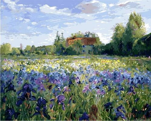 Iris Flowers Field Paint By Number.png