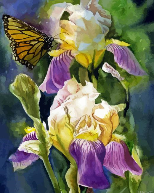 Irises And Butterflies Paint By Numbers.png
