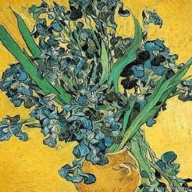 Irises Flower Paint By Numbers.png