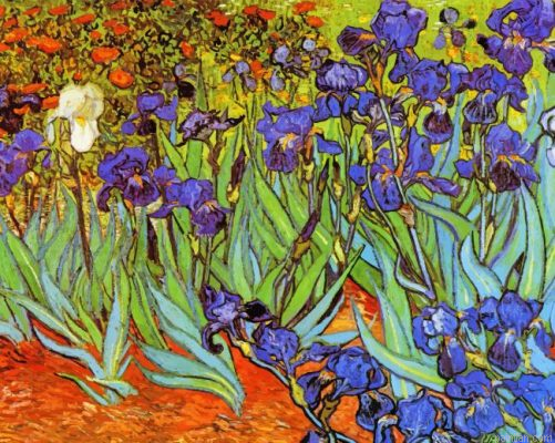 Irises Vincent Van Gogh Paint By Number.png