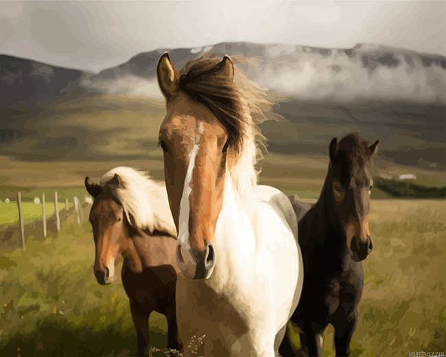 Island Horse New Paint By Numbers.png