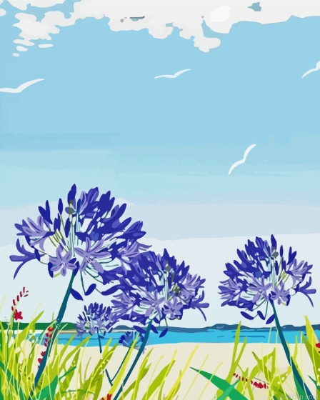 Isles Of Scilly Poster Paint By Numbers.png