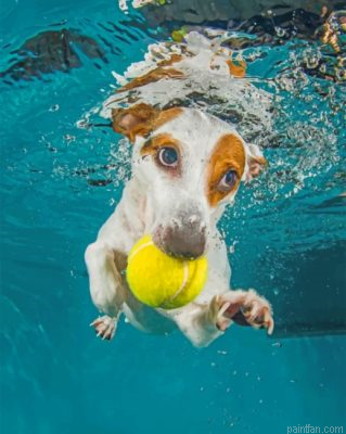 Jack Russell Underwater Paint By Number.png
