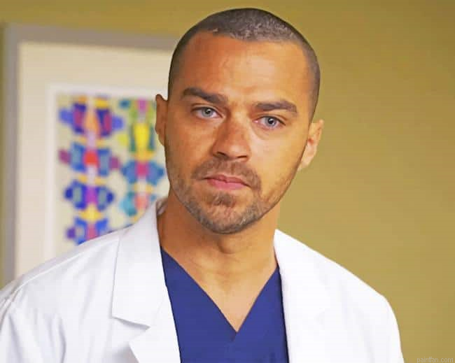 Jackson Greys Anatomy Paint By Number.png