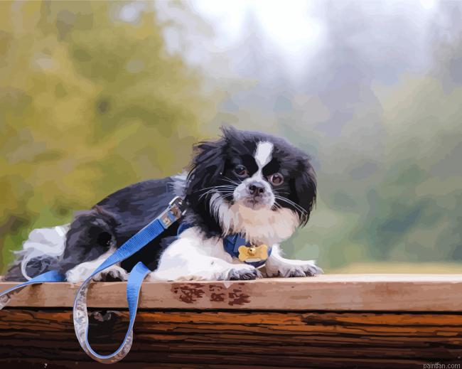 Japanese Chin Paint By Numbers.png