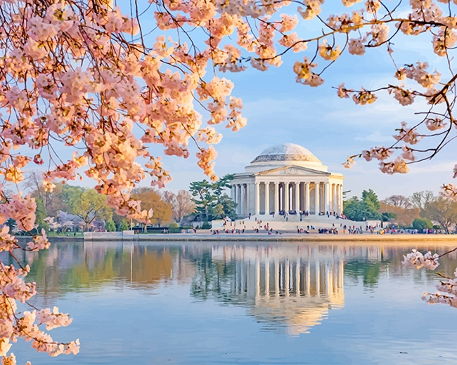 Jefferson Memorial In Cherry Blossom New Paint By Numbers.png
