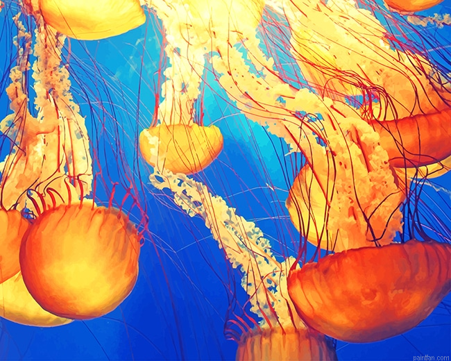 Jellyfish Illustration New Paint By Numbers.png