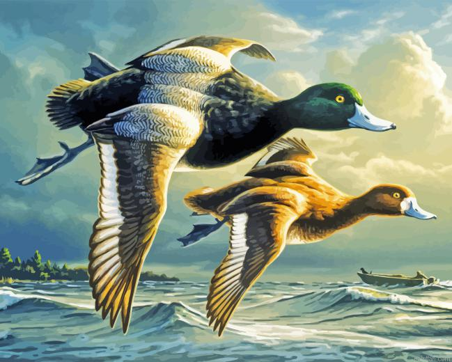 Joe Hautman Birds Paint By Numbers.png