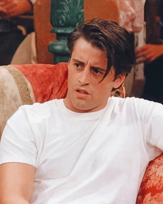 Joey Tribbiani Friends New Paint By Numbers.png