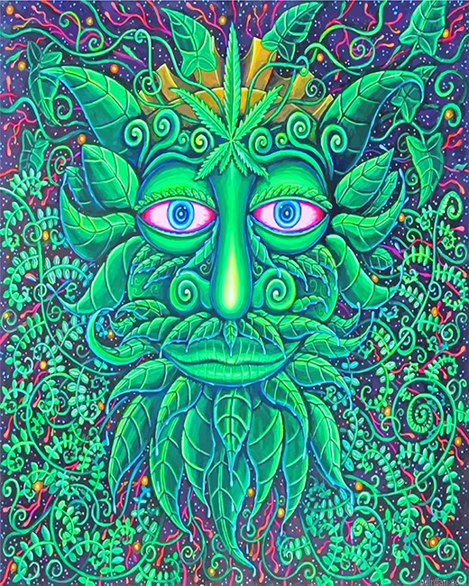 John Speaker Green Man New Paint By Numbers.png