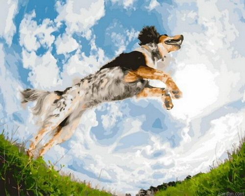 Jumping Dog Paint By Numbers.png