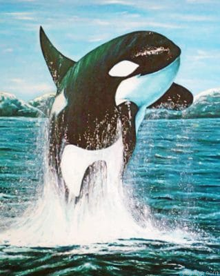 Jumping Whale Paint By Number.png
