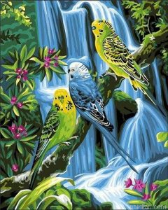 Jungle Birds Paint By Numbers.png