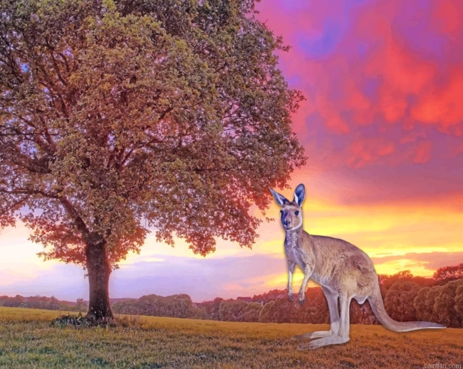 Kangaroo During Sunset Paint By Number.png