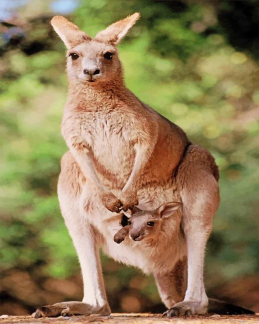 Kangaroo With Her Baby Paint By Number.png