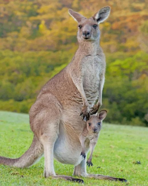 Kangaroos In Forest Paint By Number.png