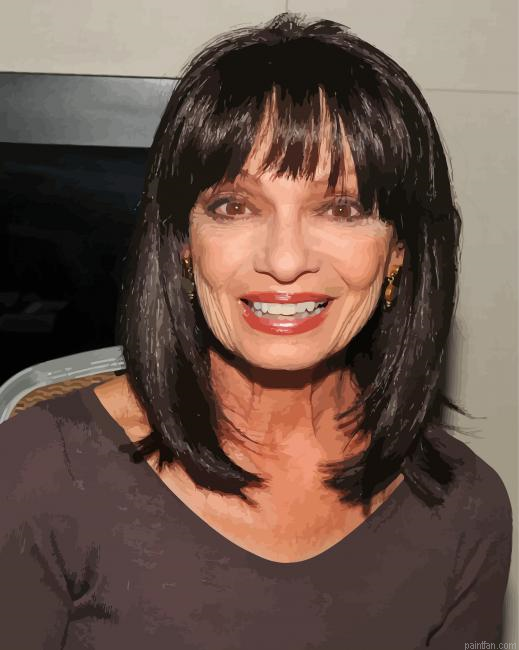 Karen Valentine Paint By Numbers.png