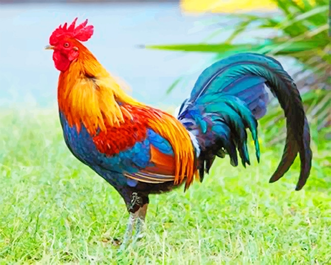 Kauai Chicken New Paint By Numbers.png