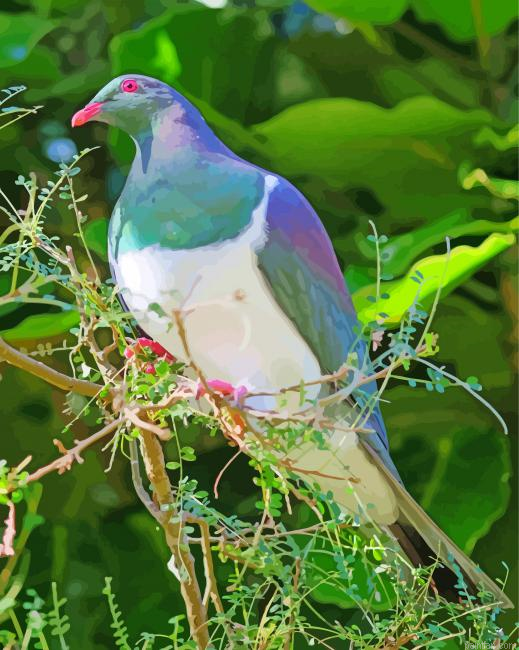 Kereru Bird Paint By Numbers.png