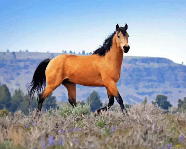 Kiger Mustang Paint By Numbers.png