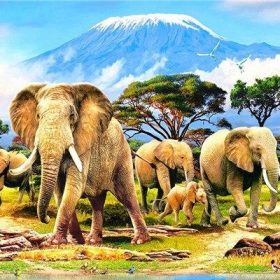 Kilimanjaro Elephant Paint By Numbers.png