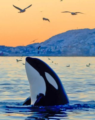 Killer Whale In The Ocean Paint By Number.png