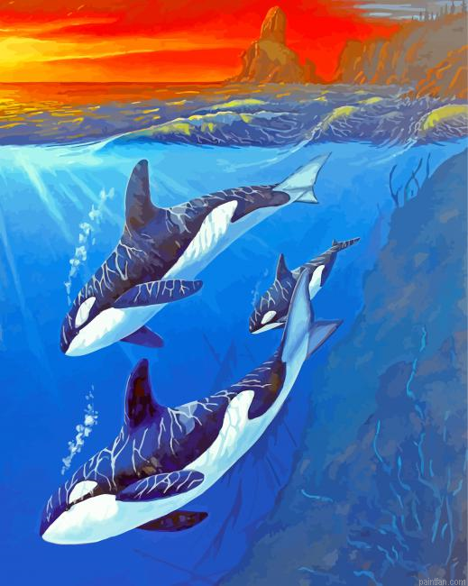 Killer Whale Underwater Paint By Number.png