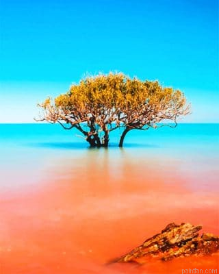 Kimberley Broome Australia New Paint By Numbers.png