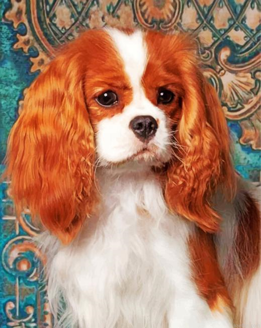 King Charles Cavalier Paint By Number.png