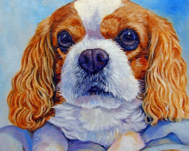 King Charles Paint By Number.png