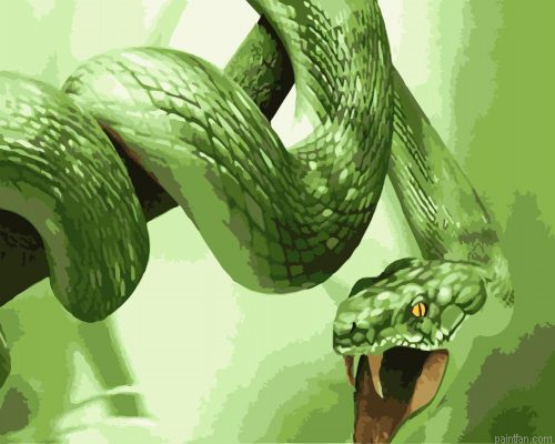 King Cobra Paint By Numbers.png