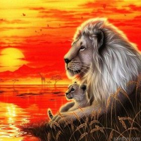 King And Cub Paint By Numbers.png
