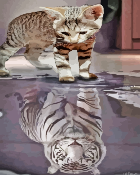 Kitten In Reflection Paint By Numbers.png