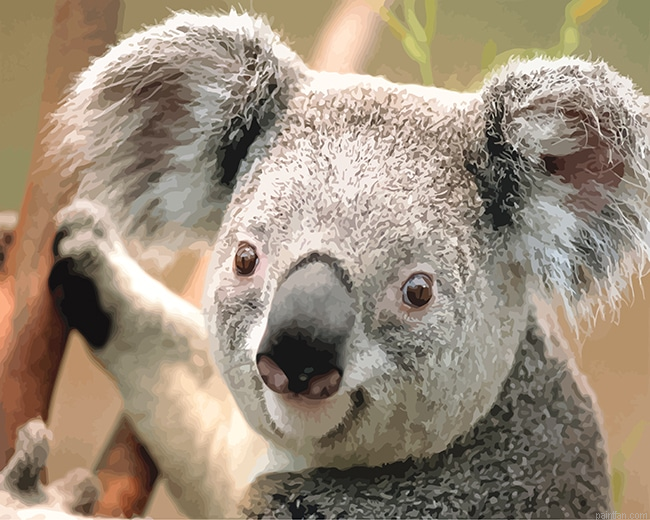 Koala New Paint By Numbers.png
