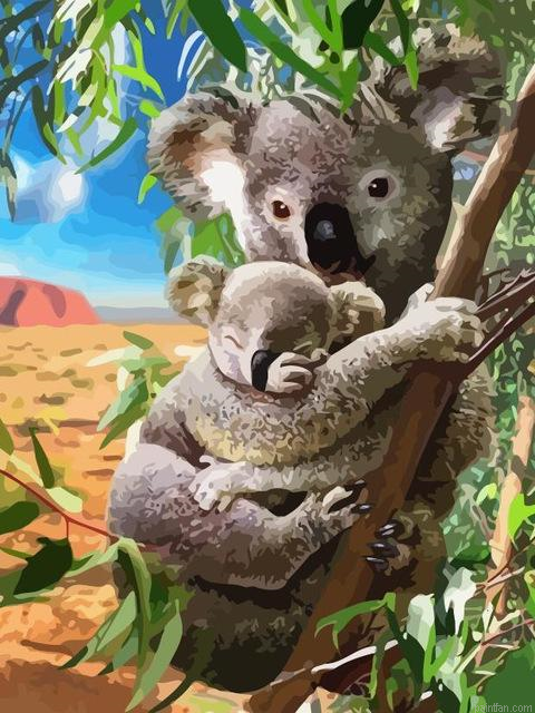 Koala And Cub Paint By Numbers.png