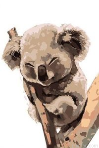 Koala On Tree Paint By Numbers.png
