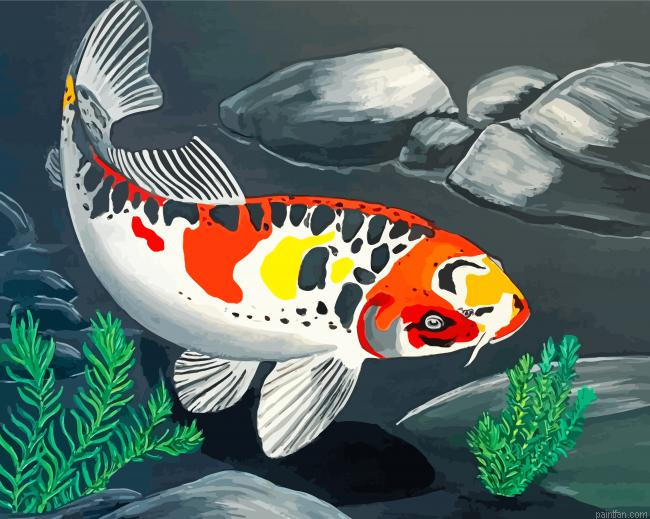 Koi Carp Fish Paint By Number.png