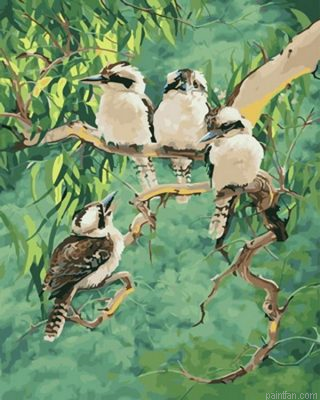 Kookaburra Birds Paint By Numbers.png