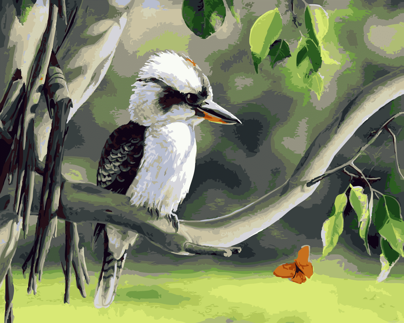 Kookaburra Paint By Numbers.png