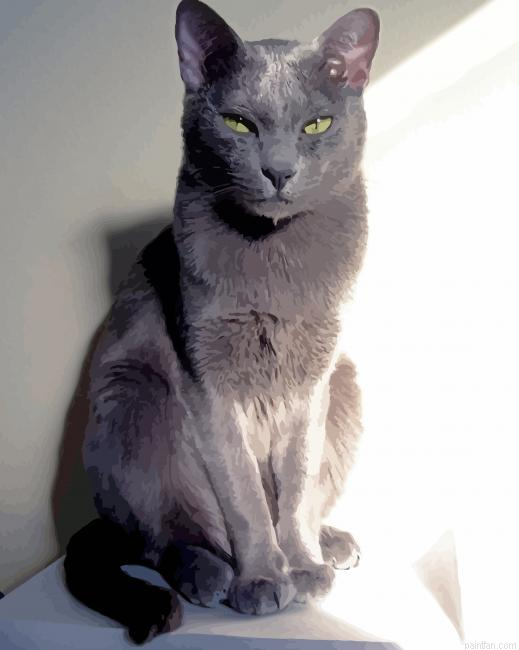Korat Cat Paint By Numbers.png