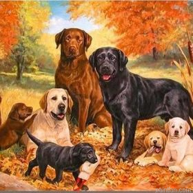Labrador Dogs Paint By Numbers.png