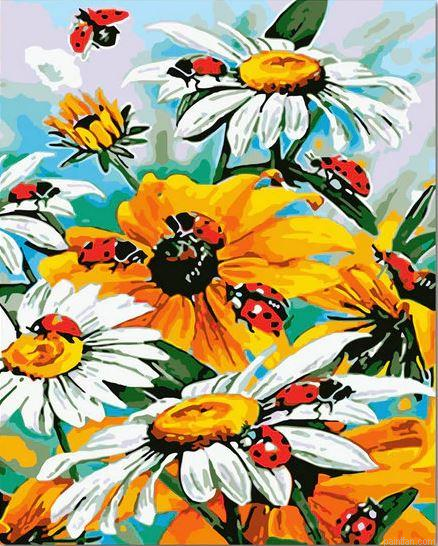 Ladybird Flowers Paint By Numbers.png